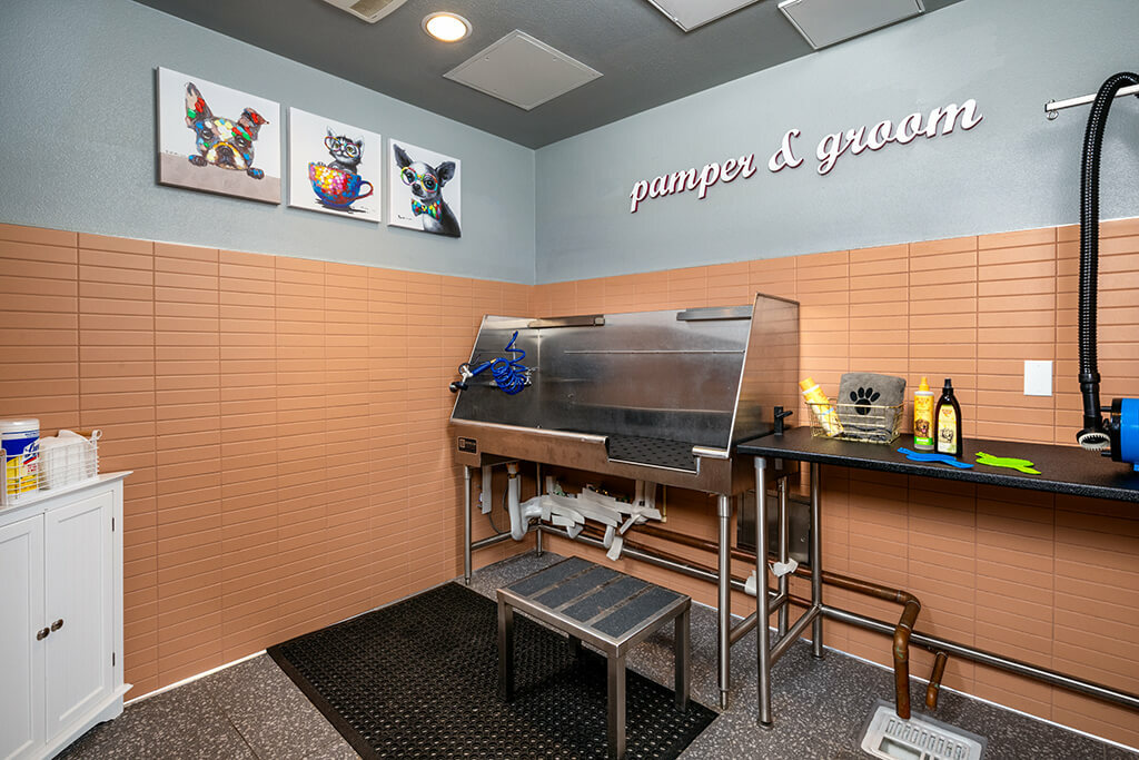 Studios in Canoga Park CA Chroma Apartments Gallery