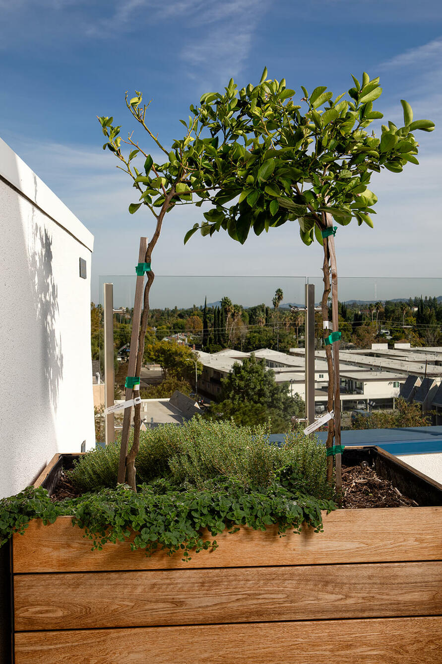 Apartments in Canoga Park CA for Rent Contact Us